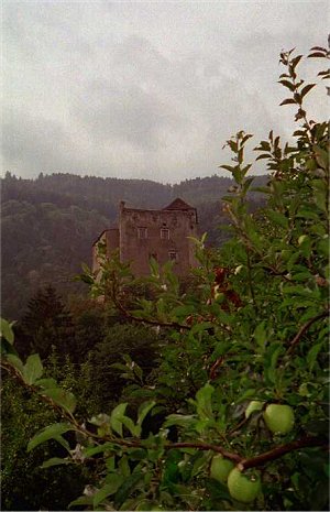 Eine Burg in Mitten der Apfelplantagen